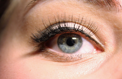 Must-have cat style lashes the Miracle Blog