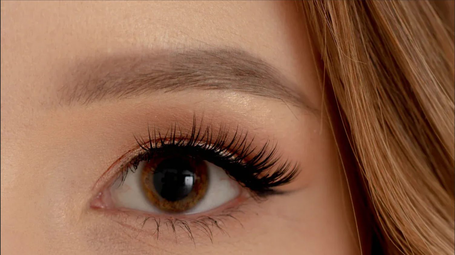 What is cat lash style and why it's so popular in 2025 - MiracleMe False Eyelashes